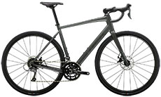 Trek 2025 Domane AL 2 Gen 4 (Grey)