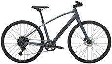 Trek 2025 FX 3 (Grey)