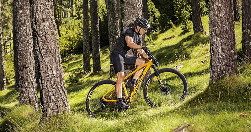 mondraker xc bike