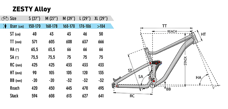 zesty am 4.0 2020